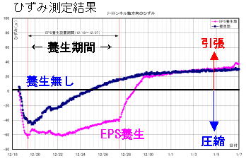 ひずみ測定結果